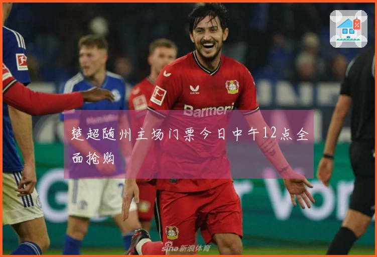 楚超随州主场门票今日中午12点全面抢购