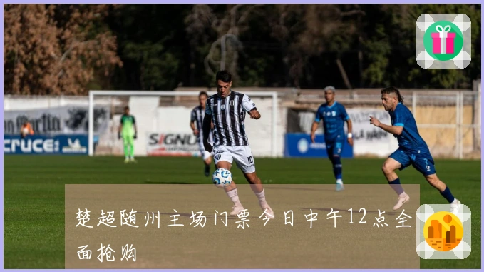 楚超随州主场门票今日中午12点全面抢购